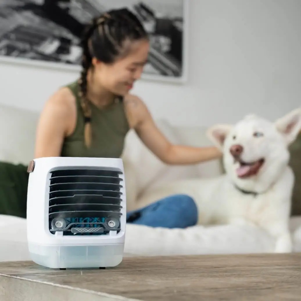 ChillWell 2.0 personal evaporative cooler running on a table while a person relaxes with a dog in the background