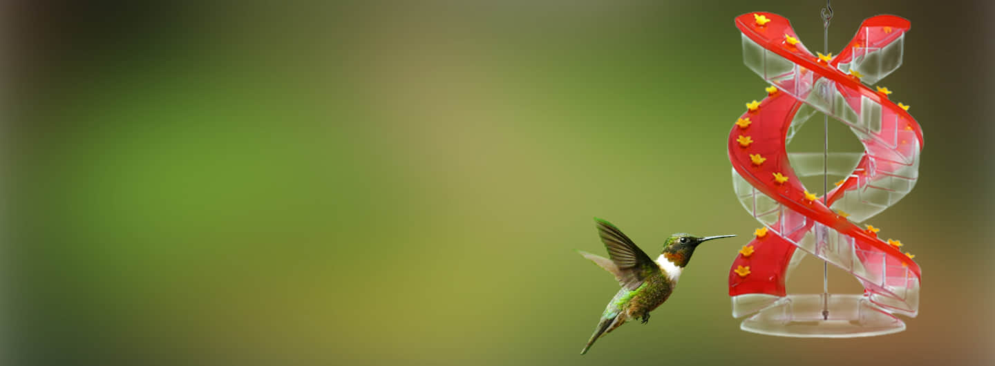 A single hummingbird hovering toward the DNA Helix spiral feeder against a green garden background