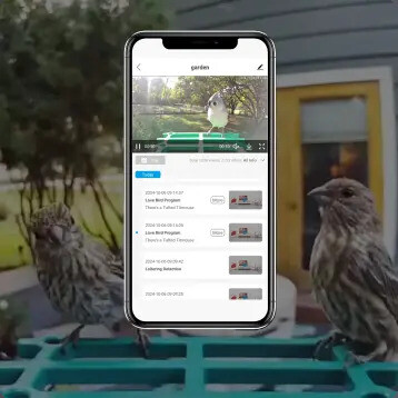 Happy Birdy app timeline on a phone showing captured bird visits, beside finches on the feeder perch