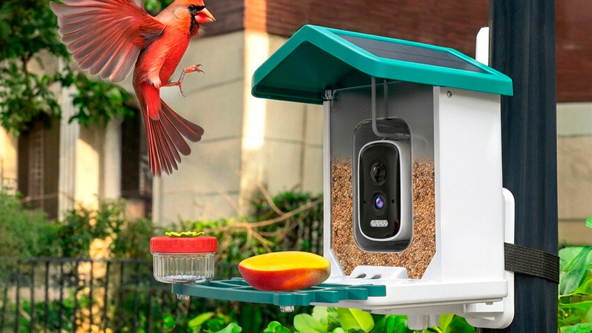 Happy Birdy - Smart Bird Feeder - $149.99 - US