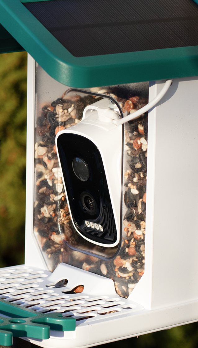 The Happy Birdy smart bird feeder mounted outdoors on a tree branch, its camera and seed hopper visible against green foliage