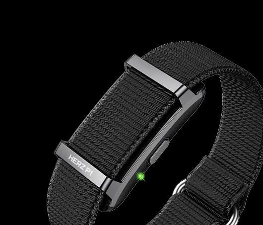 Close-up of the Herz P1 Smart Band showing its nylon strap and the sensor module with a green heart-rate LED