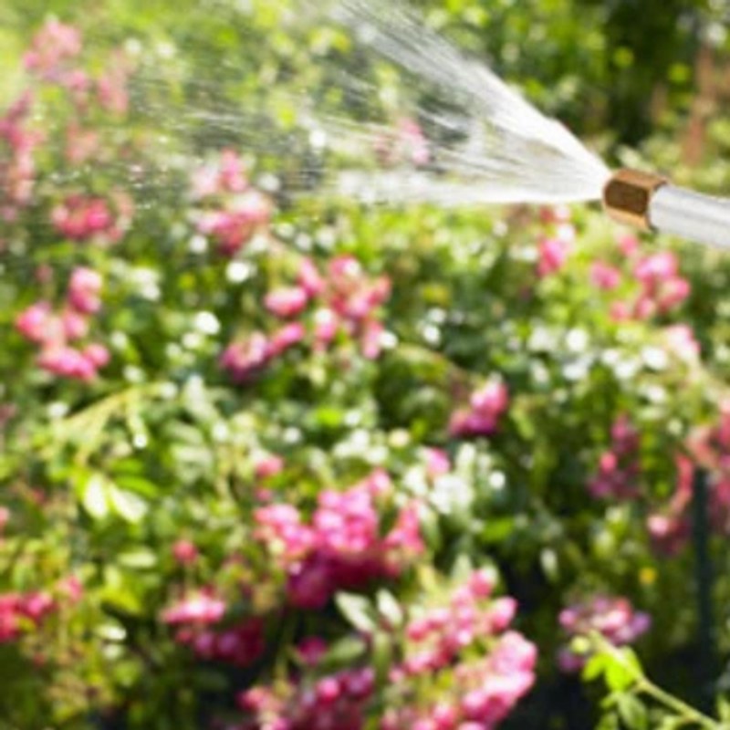 The HydroBlast Power Nozzle's brass tip spraying a wide fan pattern over garden flowers