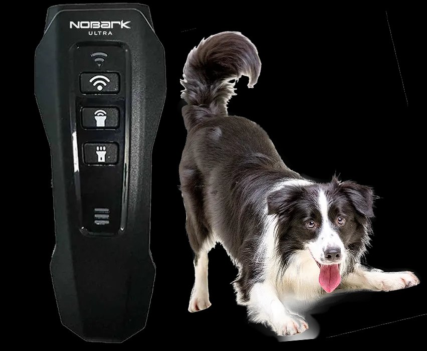 NoBark Ultra device beside a calm dog, showing the handheld size
