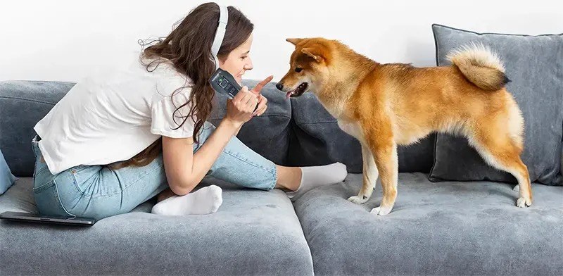 Woman on a couch pointing the NoBark Ultra anti-barking device at her Shiba Inu