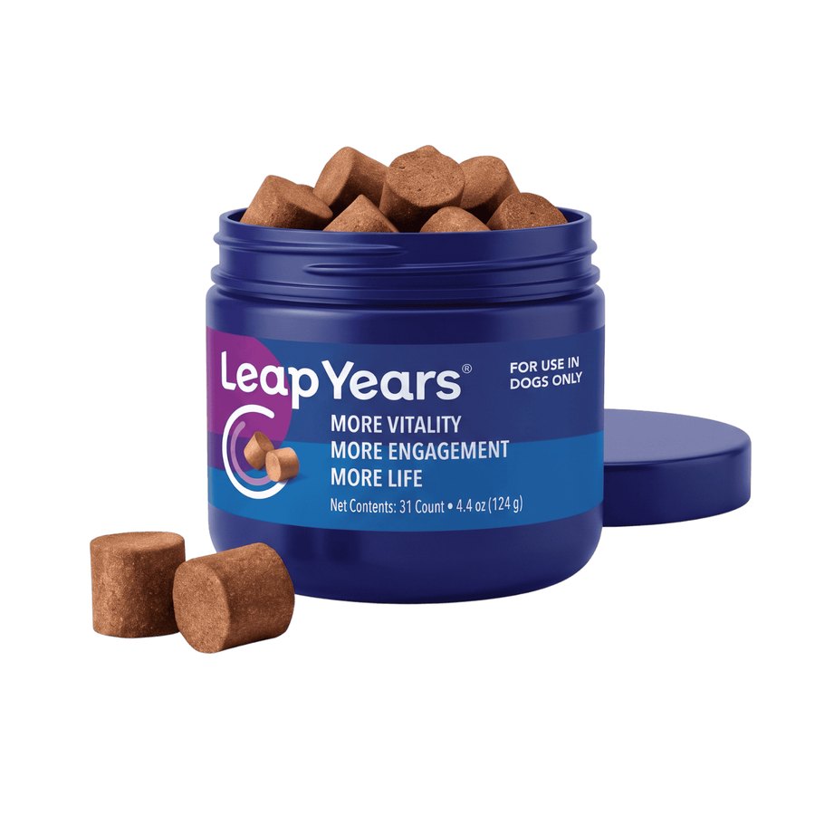 Jar of Leap Years dog supplement soft chews for senior dogs