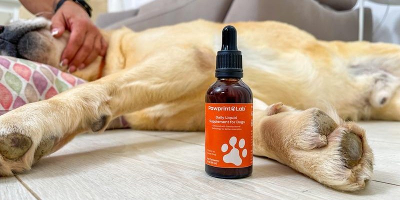 PawPrint Protocol